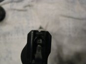 IMG_5242.jpg