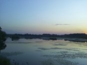 IMG_20190721_203253.jpg