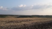 20190727_185931.jpg