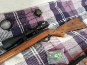 Marlin 60,22 lr