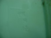 DSC08289.JPG
