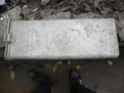 SAM_0990.jpg