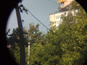 Бинокль Alpen MagnaView 10x52