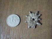 DSC00166.jpg