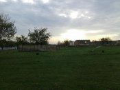 IMG_20121028_084020.jpg