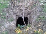 IMG_20121028_090841.jpg