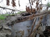 IMG_20121028_101547.jpg