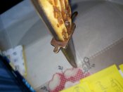 20190804_104222.jpg