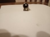 IMG_20190804_220019.jpg