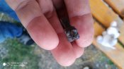IMG_20190805_200801.jpg