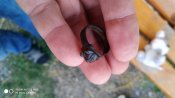 IMG_20190805_200804.jpg