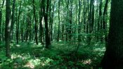 IMG_20190806_105839.jpg
