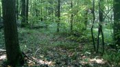 IMG_20190806_111118.jpg