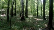 IMG_20190806_115046.jpg