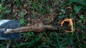 IMG_20190806_121848.jpg