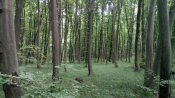 IMG_20190806_121854.jpg