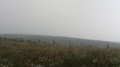 IMG_20190806_150805.jpg