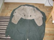 райберт 008.jpg