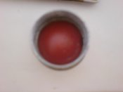 DSC01379.jpg