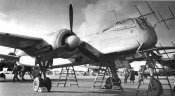 he219-7.jpg