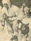 189338708ace.jpg