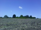 IMG_20190806_103001.jpg
