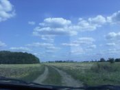IMG_20190806_161720.jpg