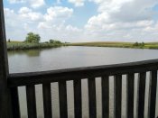 IMG_20190807_143435.jpg