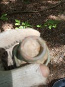 IMG_20190706_141223.jpg