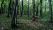 IMG_20190808_112331.jpg