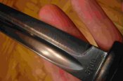 DSC05601.JPG