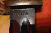 DSC05593.JPG