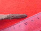 SDC13231.jpg