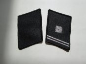 петлицы