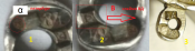 assay3.png