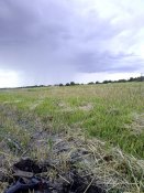 IMG_20190810_152216.jpg