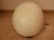 DSCN0896.jpg