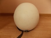 DSCN0901.jpg