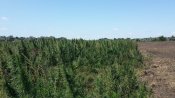 20190810_115714.jpg