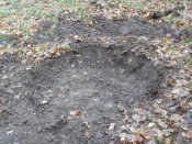 SDC13235.jpg