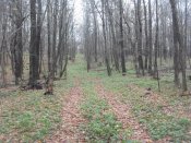 SDC13236.jpg