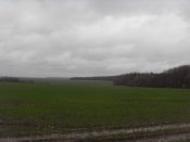 SDC13238.jpg