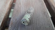 20190813_082319.jpg