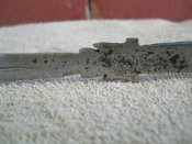 DSCN0384.JPG