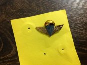 Парашютный знак (4)