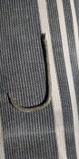 IMG_20190816_103108.jpg