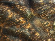 389B8538-EE09-4D0B-822D-B1700B647266.jpeg