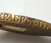 Гарда офицерской шашки,, за храбрость,,