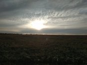 IMG_20190818_184514.jpg