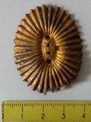 офицерская кокарда РИА с клеймом с 1 грн за вашу цену (усы целы, нижняя часть)